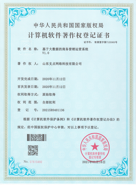  大数据商务营销运营系统 